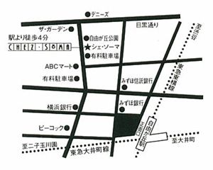 soma-map